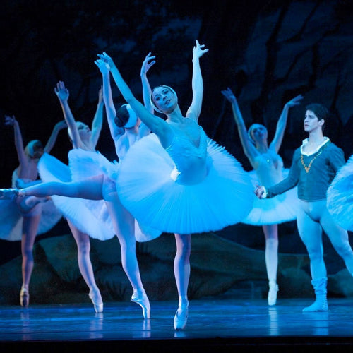 MEND to Work With Eugene Ballet Company