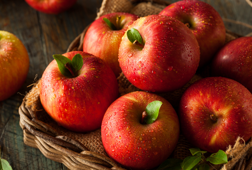 September's Seasonal Produce by Region: A Guide to Fresh, Local Picks in the USA
