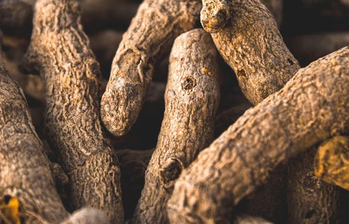 Turmeric: An Ancient Remedy Proven by Modern Research