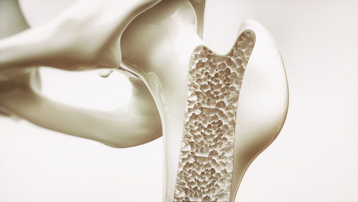 Key Nutrients for Bone Health
