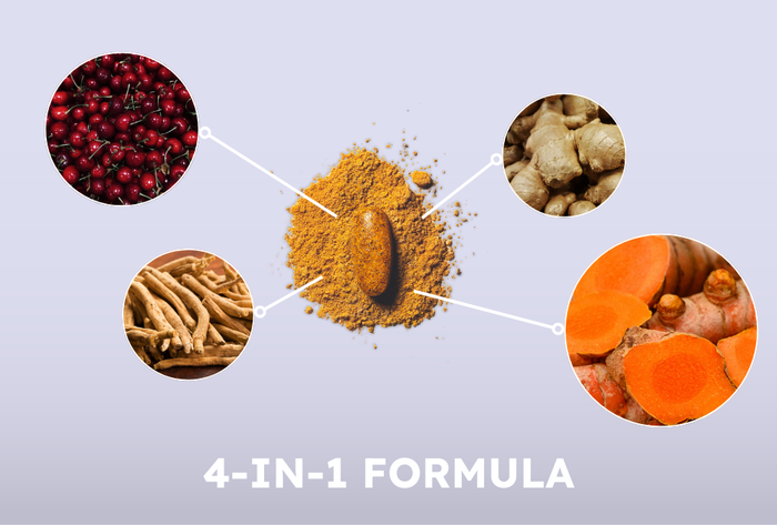 The Power of Each Ingredient in Perform as Supported by Clinical Studies