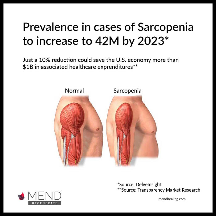 Sarcopenia Prevalence To Increase to 42MM