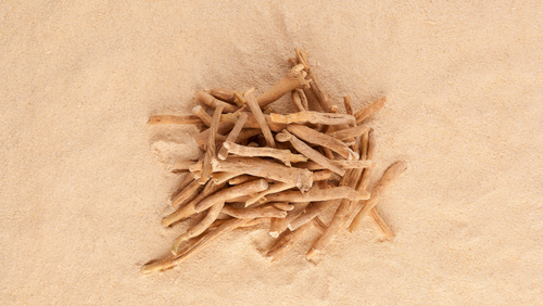 Ashwagandha... the most versatile herb you’ve never heard about