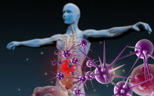 The Incredible Human Immune System